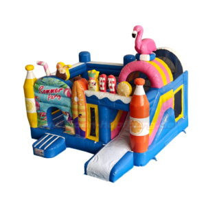 Hüpfburg-Multi-Sommer-Party