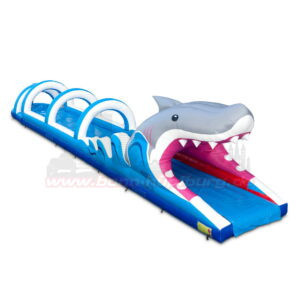 Bauchrutsche Hai 01